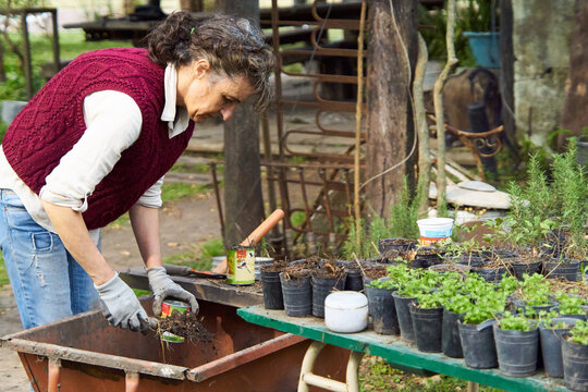 Mujer cangando tierra en masetas para hacer plantines 