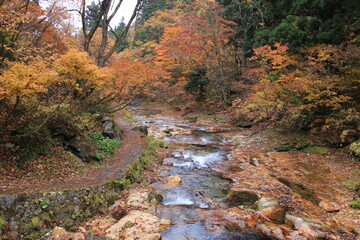 山形　銀山温泉の秋　白銀川遊歩道