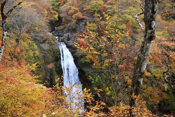 宮城秋保の秋　紅葉の秋保大滝