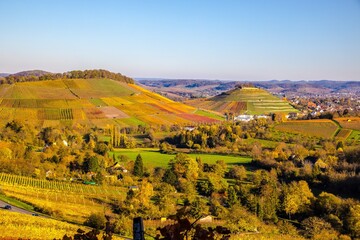 Obraz premium Vineyards in Autumn, View from the Wartberg, Heilbronn, Baden-Württemberg, Germany, Europe