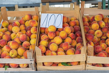 Peaches in Crates