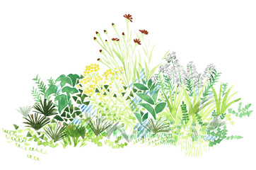 ナチュラルガーデン © K.M.S.P.