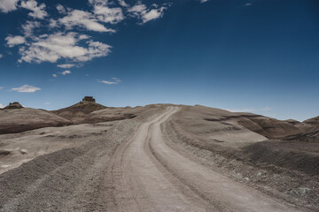 Fototapeta premium Dirt Road cuts into desert ground