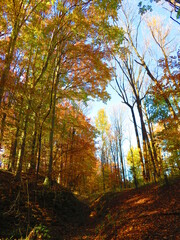 walking through shenandoah park at sunset