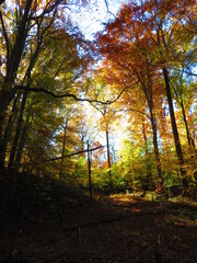 walking through shenandoah park at sunset