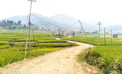 rice field in Nepal, countryside road, villages in Asia, walking and hiking travel concept, homestay experience