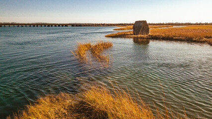 Seaveys Landing - 11/6/20