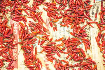 red hot chili peppers, process of drying chilli on the sun, flatlay of spicy pepper