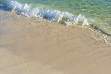 Waves from the ocean seethe and foam on the shore, forming white lambs and foam, close up