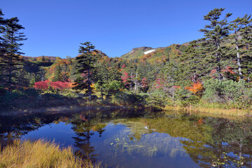 秋の大雪高原沼（北海道・大雪山）
