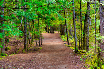 Goldstream Provincial Park, walking and educational trail, Victoria, Vancouver Island, Canana