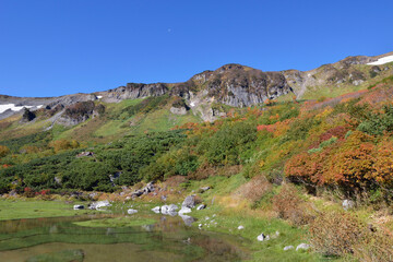 Naklejka premium 秋の大雪高原沼（北海道・大雪山） 