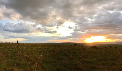 sunset in the field
