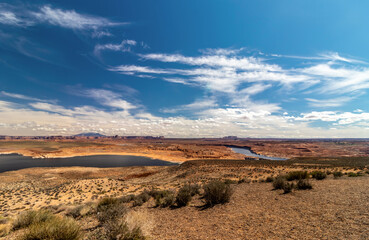 The desert vegetation in focus with the backdrop of the Colorado river fork, Wahweap lookout, Page, AZ