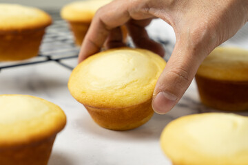 Homemade lemon cream cheese filling cupcake ready to serve