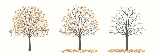 Autumn tree with leaves and without leaves in three versions