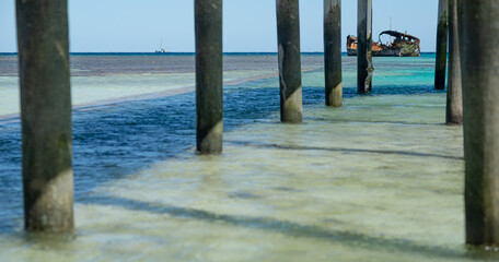Under the Jetty to see the shipwreck at Heron Island