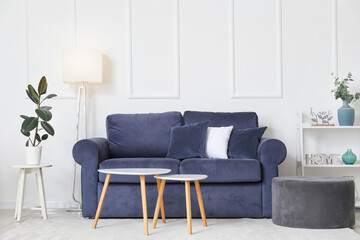 Interior of light modern living room with sofa