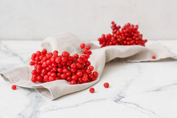 Fresh viburnum berries on white background