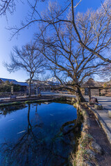 忍野八海より眺む富士