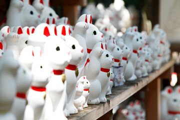 豪徳寺（招福殿）