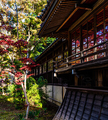 Fototapeta premium 窓に映る紅葉〜本土寺
