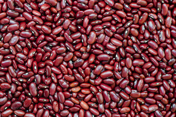 Red beans used as a main ingredient for Nicaraguan recipes