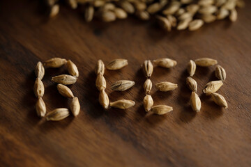 granos de cebada haciendo la palabra cerveza