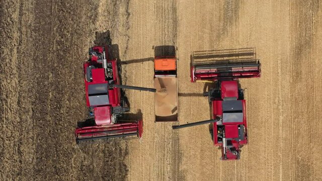 Aerial top view of two combine harvester pours threshed grain into the back of a truck