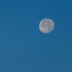 A full moon on a clear sky