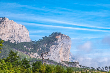 High stone rock and the forest on a hillside in the fog on blue sky background.