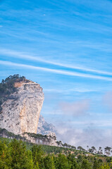 High stone rock and the forest on a hillside in the fog on blue sky background.