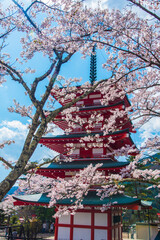 桜と新倉山浅間神社五重塔