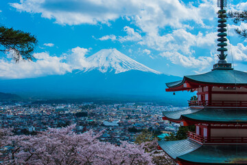 Obraz premium 桜咲く富士山と新倉山浅間神社五重塔