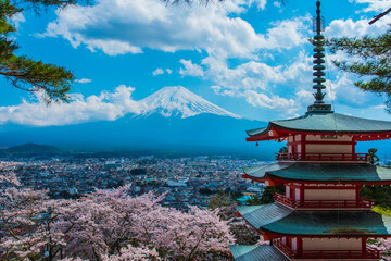 桜咲く富士山と新倉山浅間神社五重塔