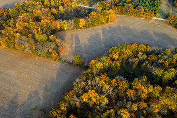 Obraz premium Aerial Drone Photo Looking Down on an Autumn Forest with Multi Colored Fall Trees in the Midwest_04