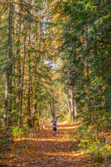 Trail running during autumn on mountain.