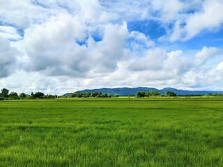 Dynamic sky with fields