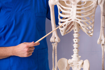 Young male lecturer with skeleton in front of whiteboard