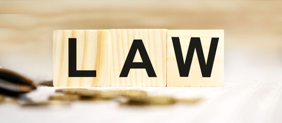 On wooden cubes text LAW, in the background pen, coins, reports.
