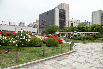 本郷給水所公苑（本郷）