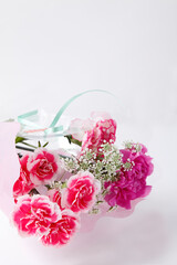 カーネーション