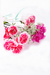 カーネーション