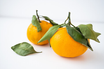 Mandarin Photo fruit citrus orange with leaves