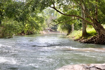 waterfall in the forest