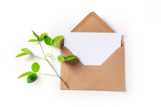 Green mail concept. A letter in a kraft envelope mockup, shot from the top with a green plant, the concept of sustainable growth