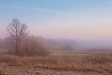 Obraz na płótnie Canvas beautiful winter landscape with fog and frost