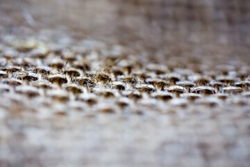 Macro bokeh shallow depth craft wool mat with woven pattern texture background retro