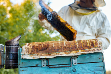 caucasian bee master on apiary wearing protective suit and mask, caucasian beekeeper examining bees on a bee farm