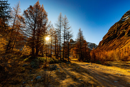 An autumn morning with the sun rising behind trees in autumn colours